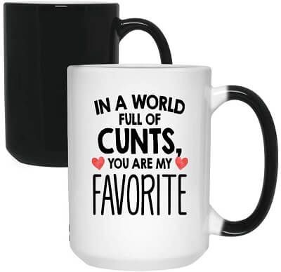 Funny Mug -  In a World Full of Cunts