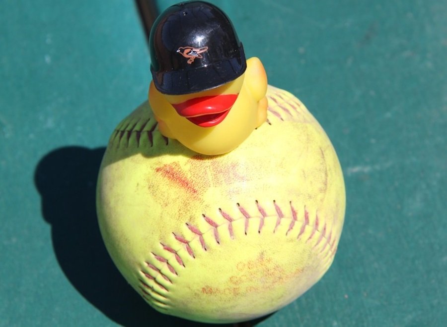 Personalized Baseball Themed Gifts. MLB Gift Ideas [2024]